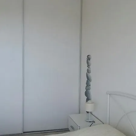 Albatros *